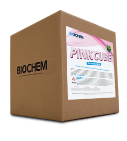 Pink Cube